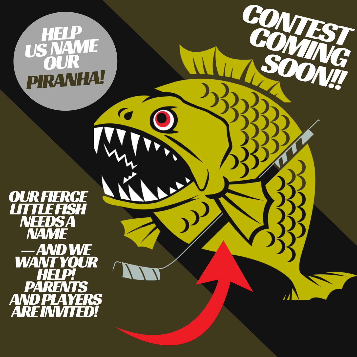 Contest - Name our Piranha!